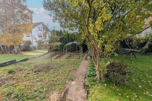 PXL_20251019_085606156