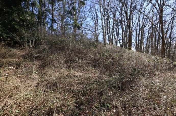 Baugrundstück mit Hanglage und Baumbestand, rechteckiger Zuschnitt, im Wochenendhausgebiet  Mehren14