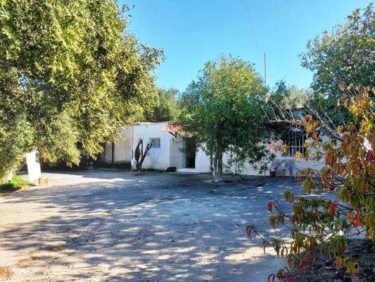 Ostkreta, Pappagiannades: Bewohnbares Haus mit Olivenbäumen und Bergblick zu verkaufen