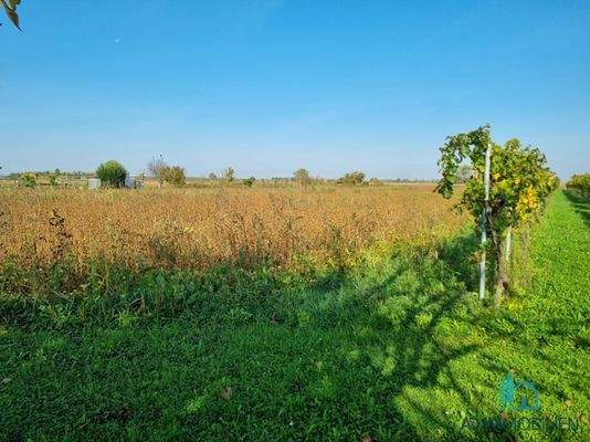Bild 16