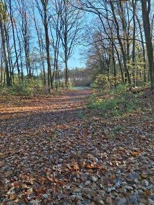 Zufahrt von breiteren Ende der Fläche