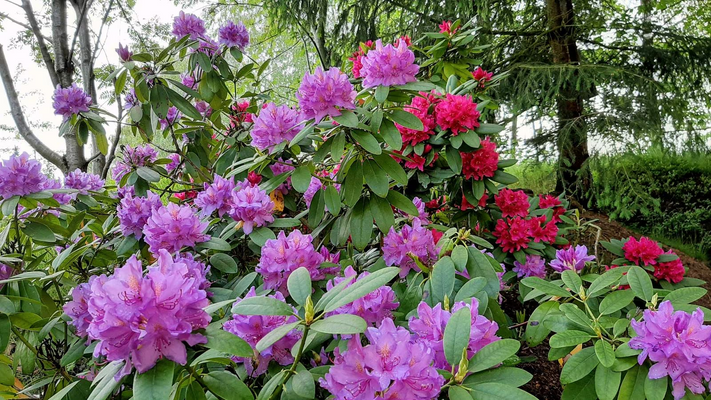 0a8d3cf4-7195-45ea-b2d7-e063f6433e54