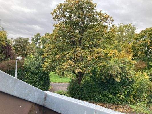 Blick von der Loggia in den Park.jpeg