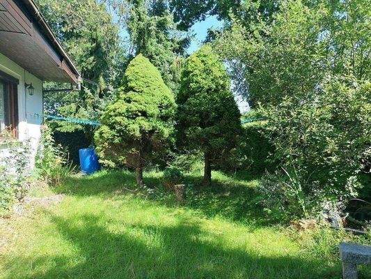 gewachsenes Grundstück mit Bungalow