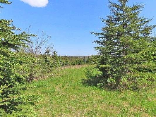 Cape Breton - Wunderschönes 10-Hektar-Areal inmitt