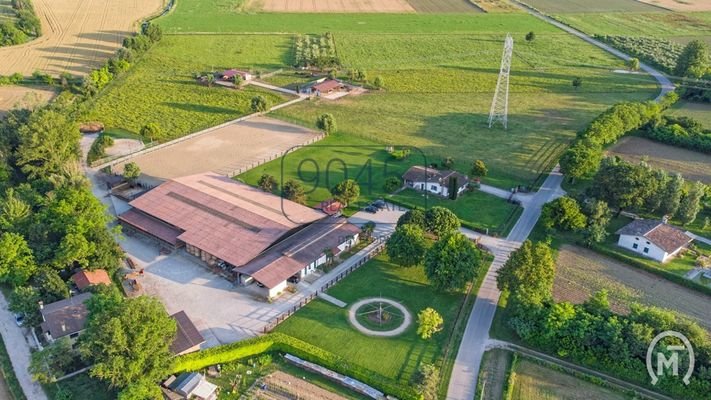 Ranch für Zucht von Sportpferden und Rinderhaltung in Aiello del Friuli