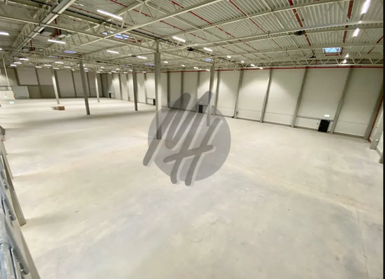 INFOS UNTER: 06171-586000