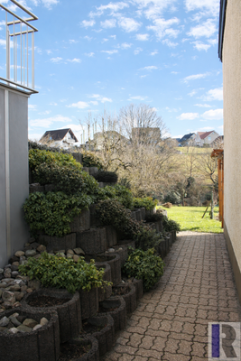 seitlicher Zugang zum Garten
