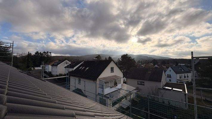 Blick über Eberstadt