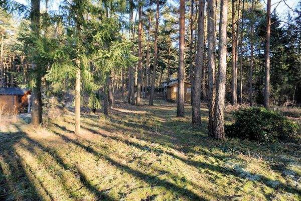 Blick von der Terrasse (2).JPG