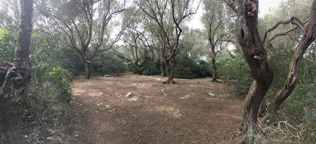 Grundstück mit Projekt für ein Haus mit Pool zum Verkauf in Felanitx, Mallorca.