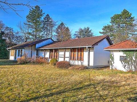 Planegg Häuser, Planegg Haus kaufen