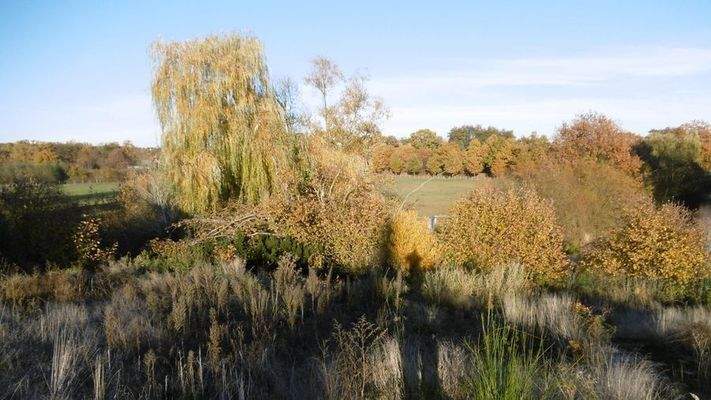 unverbaubarer Blick vom Grundstück