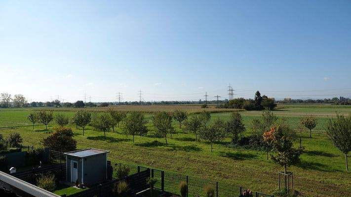 Blick Richtung Europapark