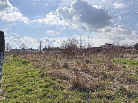 Pfatter Grundstücke, Pfatter Grundstück kaufen