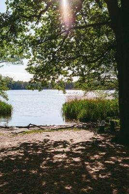 Ohia-Shoot-9-800x1200