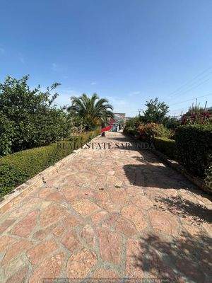 WhatsApp Image 2024-09-06 at 13.21.48 (15).jpeg