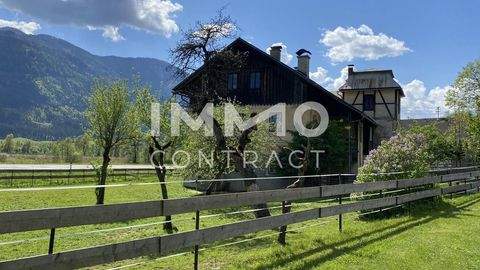 Dellach Bauernhöfe, Landwirtschaft, Dellach Forstwirtschaft