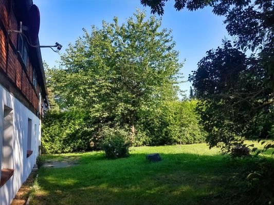 Blick in den Garten