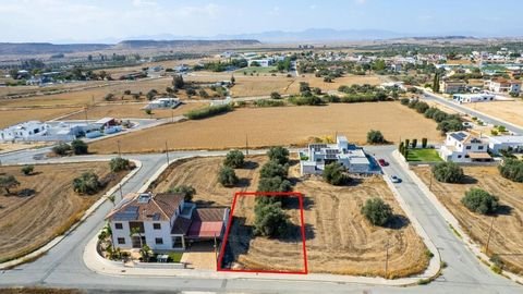 Larnaka Bauernhöfe, Landwirtschaft, Larnaka Forstwirtschaft