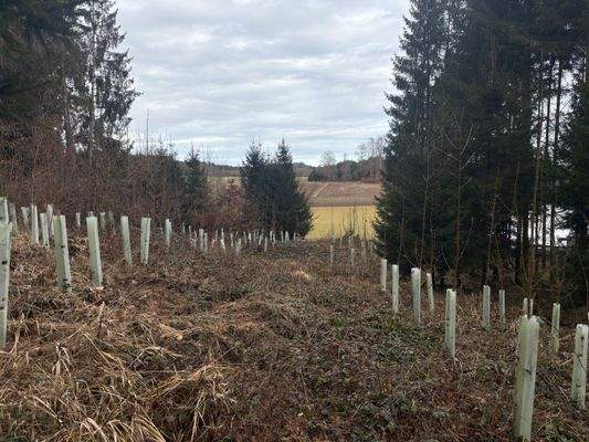 2026-02-12 14.01.47.jpg