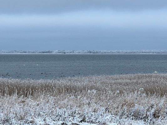 Blick auf Darß- Zingst.jpg