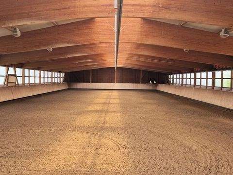 Ludwigshafen am Rhein Bauernhöfe, Landwirtschaft, Ludwigshafen am Rhein Forstwirtschaft