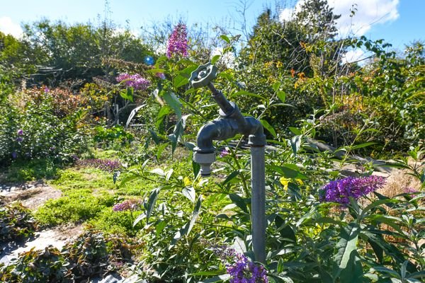 Wasseranschlüsse sind großzügig im Garten verteilt