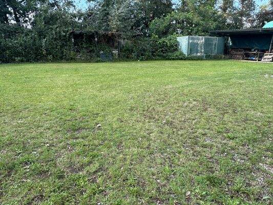 Außenanlagen mit Lager-Platz