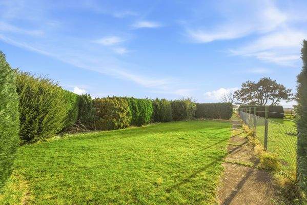 Gartenimpressionen 2