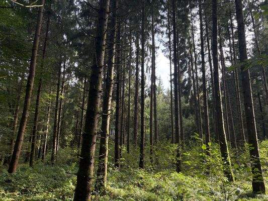 2025-10-08 15.14.36.jpg