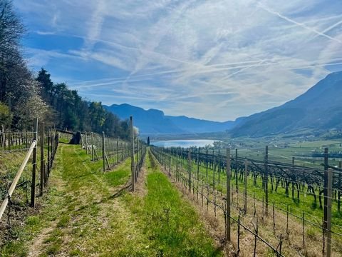 Kaltern Bauernhöfe, Landwirtschaft, Kaltern Forstwirtschaft