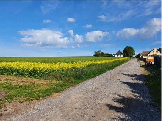 Blick auf Grundstuck.JPG