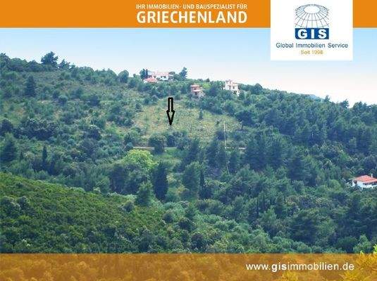 Blick auf das Grundstück