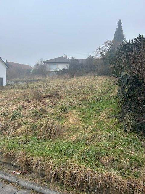 Schweigen-Rechtenbach Grundstücke, Schweigen-Rechtenbach Grundstück kaufen