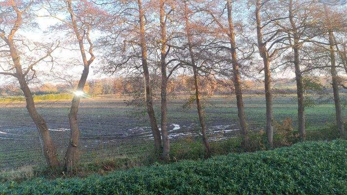 Weitblick über Ackerland aus dem DG
