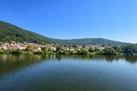 Neckargemünd Renditeobjekte, Mehrfamilienhäuser, Geschäftshäuser, Kapitalanlage