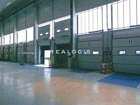 Mülheim an der Ruhr Halle, Mülheim an der Ruhr Hallenfläche