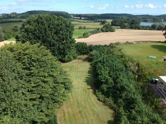 Garten / Potenzielles Baugrundstück