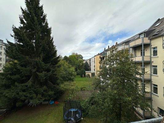 Blick auf Garten und Gebäude