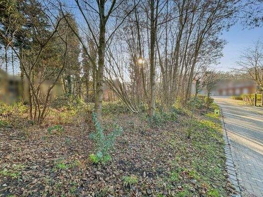 Grundstücksansicht 3