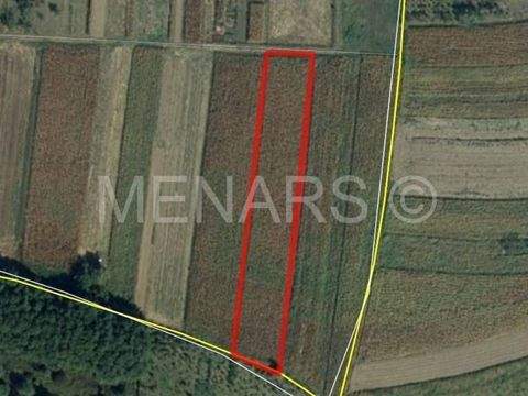 Varazdin Bauernhöfe, Landwirtschaft, Varazdin Forstwirtschaft