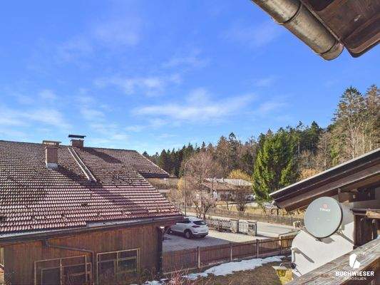 Blick über das Grundstück