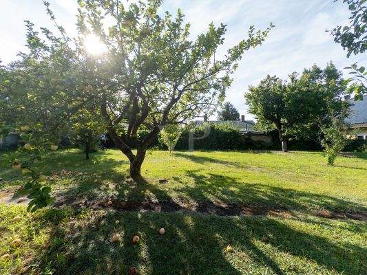 unverbauter Südblick für lange Sonnenstunden