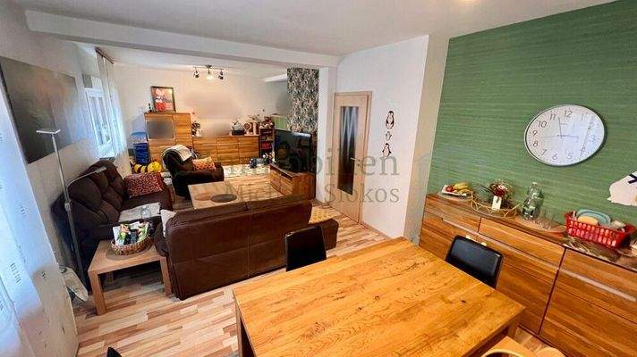 EG Wohnzimmer Ansicht 1