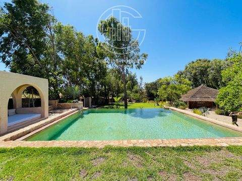 Essaouira Häuser, Essaouira Haus kaufen