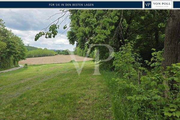 Pachtgrundstück_Brilon