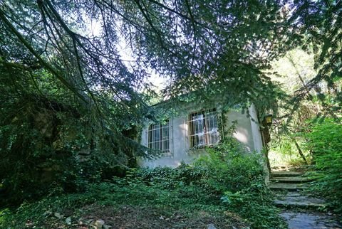 Irenental Häuser, Irenental Haus kaufen