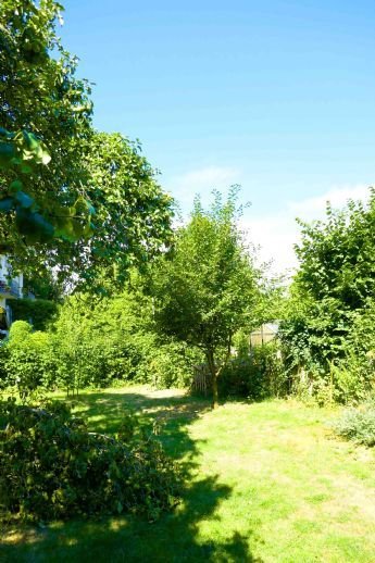 Bad Wilhelmshöhe/Nähe ICE-Bahnhof  Gemütliches Einfamilienfachwerkhaus mit wunderschönem, verwunschenem Gartengrundstück…