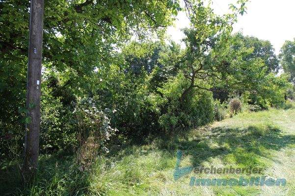 Straßenansicht.jpg (2)